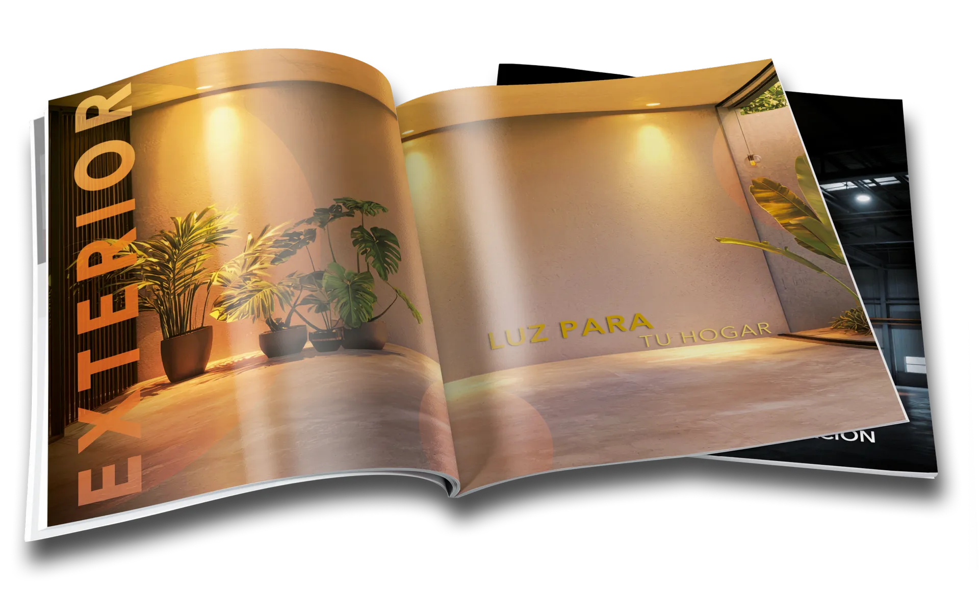 Catalogo libro